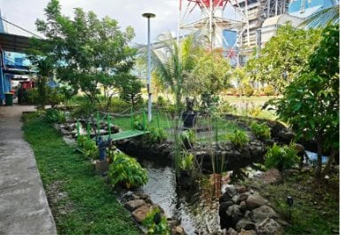Jalur menuju habitat kura-kura