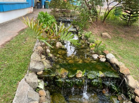 Aliran mini cascade dengan batu tersusun di habitat semi-wetland