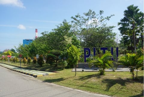 Jalan masuk dengan palem dan pohon peneduh