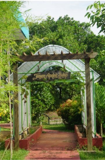 Gerbang Taman Apotik Hidup dengan jalan paving merah