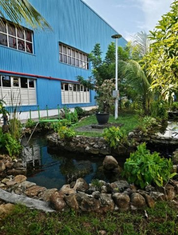 Kolam habitat di samping gedung