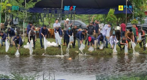 Penebaran benih ikan di Kolam AKHLAK